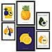Set Di 6 Stampe Cibo E Nutrizione Frutti Tropicali Natura E Stampe Botaniche Per L'interior Design A3 & A4 Senza Cornice - Foto miniatura 1