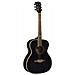 Chitarra Acustica Eko Nxt A100 06217336 - Foto miniatura 1