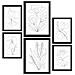 Set Di 6 Stampe Piacevoli Dipinti Decorativi Astratti Con Fiori E Estetiche Per Il Tuo Soggiorno A3 & A4 Cornice Nera - Foto miniatura 1