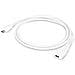 TCE01UF 1m USB C USB C Bianco cavo USB - Foto miniatura 3