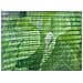 Rotolo Telo Anti Grandine Verde Ammortizzante Rete Protettiva Auto E Orto 6x10 Rete - Foto miniatura 2