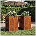 Vaso da giardino 2 pz Ruggine 50 x 50 x 75 cm Acciaio Corten - Foto miniatura 2