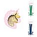 Kit Biscotti Unicorn Relief + 2 Penne Al Cioccolato Verde E Blu Notte - Foto miniatura 1