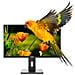 Monitor 23.8" LED VA NXM24REG02 1920 x 1080 Full HD Tempo di Risposta 4ms - Foto miniatura 1