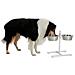 Ciotola Per Animali Domestici Con Supporto 2x2,8 L 43 Cm Bianco - Foto miniatura 3