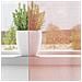Tende In Voile Con Passanti 2 Pz Rosa 140x260 Cm - Foto miniatura 8