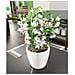 Vaso Fioriera CLASSICO LS 35 ALL-IN-ONE Bianco Lucido 16060 - Foto miniatura 4