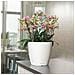 Vaso Fioriera CLASSICO LS 35 ALL-IN-ONE Bianco Lucido 16060 - Foto miniatura 5