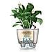 Vaso Fioriera CLASSICO LS 35 ALL-IN-ONE Bianco Lucido 16060 - Foto miniatura 9