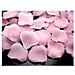 100 Petali Di Rosa Rosa - Foto miniatura 1