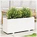 Fioriera Da Giardino Bianca 110x40x49,5 Cm Legno Massello Pino - Foto miniatura 1