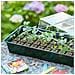 Natura Mini Serra 64 Alveoli - Foto miniatura 3