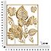 Pannello Decorativo Da Parete Jungle Rettangolare Con Foglie Tropicali In Ferro Oro 60x80 Cm - Foto miniatura 6