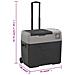 Borsa Frigo con Ruote Adattatore Nera Grigia 50 L Polipropilene - Foto miniatura 2