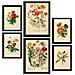 Set Di 6 Stampe Bouquet 2 In Stampe Vintage, Dipinti Decorativi Estetici Per Il Tuo Soggiorno, Camera Da Letto, Casa A3 & A4 Senza Cornice - Foto miniatura 1