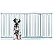 Bettacare Cancelletto Per Cani Extra Alto Con Parte Superiore Incurvata, 207cm - 216cm, Grigio Opaco, Extra Alto 100cm In Altezza - Foto miniatura 1