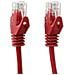 ICOC CCA6U-005-RET - Cavo di rete Patch in CCA Cat. 6 Rosso UTP 0,5m - Foto miniatura 3