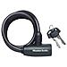 Catena Antifurto a Spirale con Lucchetto - Foto miniatura 2