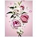 Flowerbomb Nectar Edp Intense Vaporizador 50 Ml - Foto miniatura 2