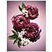 Flowerbomb Nectar Edp Intense Vaporizador 50 Ml - Foto miniatura 9