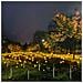 Luci Firefly Ad Energia Solare 10 Led Confezione Da 4 Bianco Caldo - Foto miniatura 7