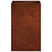 Vaso da giardino 2 pz Ruggine 30 x 30 x 40 cm Acciaio Corten - Foto miniatura 5