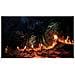 Shenmue Iii Jeu Ps4 - Foto miniatura 3
