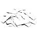 Slowfall Confetti Rectangular 55x18mm, White, 1kg - Foto miniatura 1