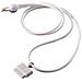Bluerain Laccio Collo For Ipod E Iphone Con Connettore 30 Pin - Foto miniatura 1