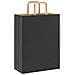 Sacchetti di Carta 250 pz con Manici Neri 26x12x35 cm - Foto miniatura 7