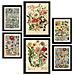Set Di 6 Stampe Anatomia Dei Fiori In Stampe Vintage, Dipinti Decorativi Estetici Per Il Tuo Soggiorno, Camera Da Letto, Casa A3 & A4 Senza Cornice - Foto miniatura 1