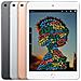 [Ricondizionato BASIC] Ipad Mini 64 Gb Grigio (ipad Mini 5 Wifi Cell 64gb Grey - A12 7.9in Ios12 In)  - Foto miniatura 3