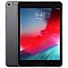 [Ricondizionato BASIC] Ipad Mini 64 Gb Grigio (ipad Mini 5 Wifi Cell 64gb Grey - A12 7.9in Ios12 In)  - Foto miniatura 1