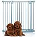 Bettacare Cancelletto Per Cani Elite Extra Alto, 89cm - 98cm, Grigio Opaco, Extra Alto Con 100cm Di Altezza - Foto miniatura 1