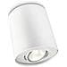 Pillar Single Spot White 1X50w 230V - Foto miniatura 6