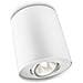 Pillar Single Spot White 1X50w 230V - Foto miniatura 3
