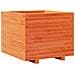 Fioriera Giardino Marrone Cera 60x60x49,5cm Legno Massello Pino - Foto miniatura 2