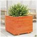 Fioriera Giardino Marrone Cera 60x60x49,5cm Legno Massello Pino - Foto miniatura 1