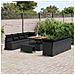 Set di Sofà da Giardino 11 Pezzi con Cuscini Polyrattan Nero Acacia, Sofà da Giardino 2 posti con Ripostiglio & Cuscini Polyrattan Nero, Set da Pranzo da Giardino 3 Pezzi con Cuscini Polyrattan Nero Acacia - Foto miniatura 3
