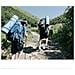Bastoncino Da Trekking Ultraleggero Bastoncino Da Trekking 5 Sezioni 1 Paio Blue - Foto miniatura 3