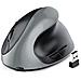 Mouse Verticale Ergonomico Ricaricabile Type-c A Doppia Modalità Grey - Foto miniatura 1