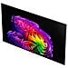 OLED evo AI 55'' Serie G6 OLED55G64LW, 4K, Hyper Radiant Color, Staffa a filo muro inclusa, G-Sync, SMART TV 2026 - Foto miniatura 10