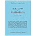 Khentrul (rinpoche) - Il Regno Di Sambhala. Una Visione Completa Per Il Perfezionamento Dell'umanità - Foto miniatura 1