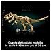 Fossili di dinosauro: Tirannosauro - Foto miniatura 3