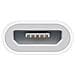 Adattatore da Lightning a Micro USB Colore Bianco - Foto miniatura 3