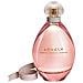 Lovely Edp Vapo 100 Ml - Foto miniatura 3