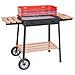 Barbecue Maxi Carbone Carbonella Excelsior Cm. 63x43 - Foto miniatura 4