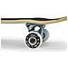 Skateboard Set Completo Skully - 7.75 Inch Verde (default, Verde) - Foto miniatura 2