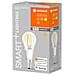 SMART+ WiFi Filament Mini Bulb Dimmable Lampadina intelligente Wi-Fi 4 W - Foto miniatura 3