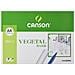 Carta Vegetale Canson Basik A4 250 Foglie 90 G /m² (210 X 297 Mm) - Foto miniatura 2